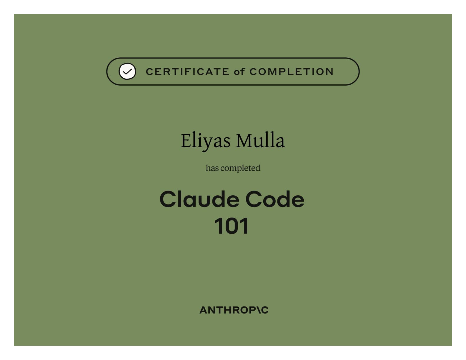Claude Code 101